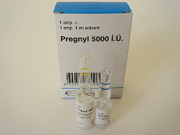 Pregnyl 5000 IU 3x